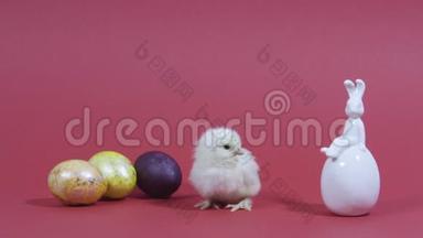 可爱的<strong>小鸡</strong>咯咯，复活节兔子和五颜六色的鸡蛋。 粉色背景。 <strong>视频</strong>卡